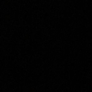 Meet your Posher, Sunny